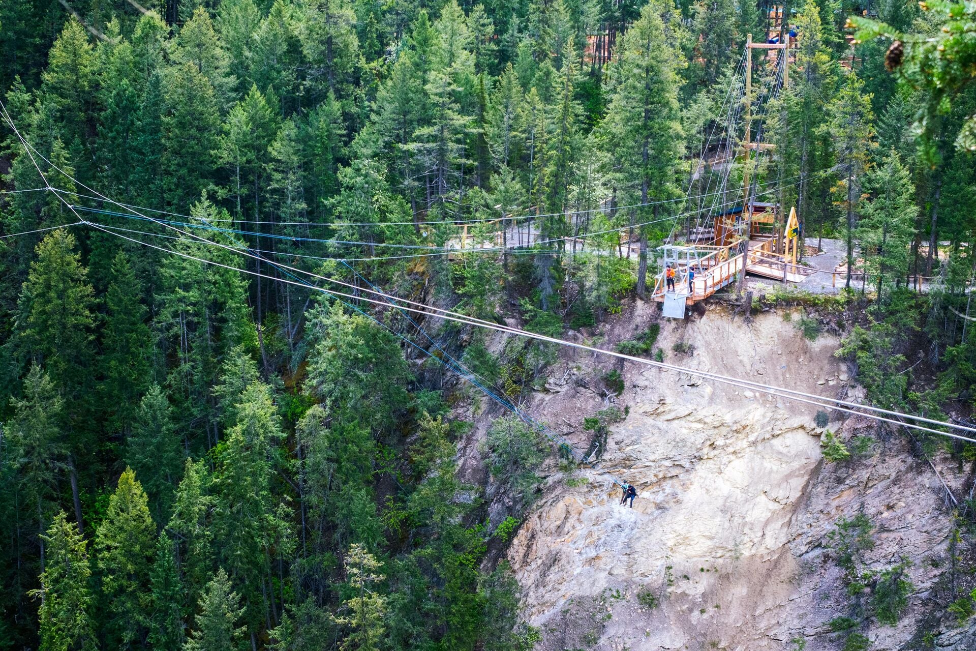 Giant Canyon Swing Golden