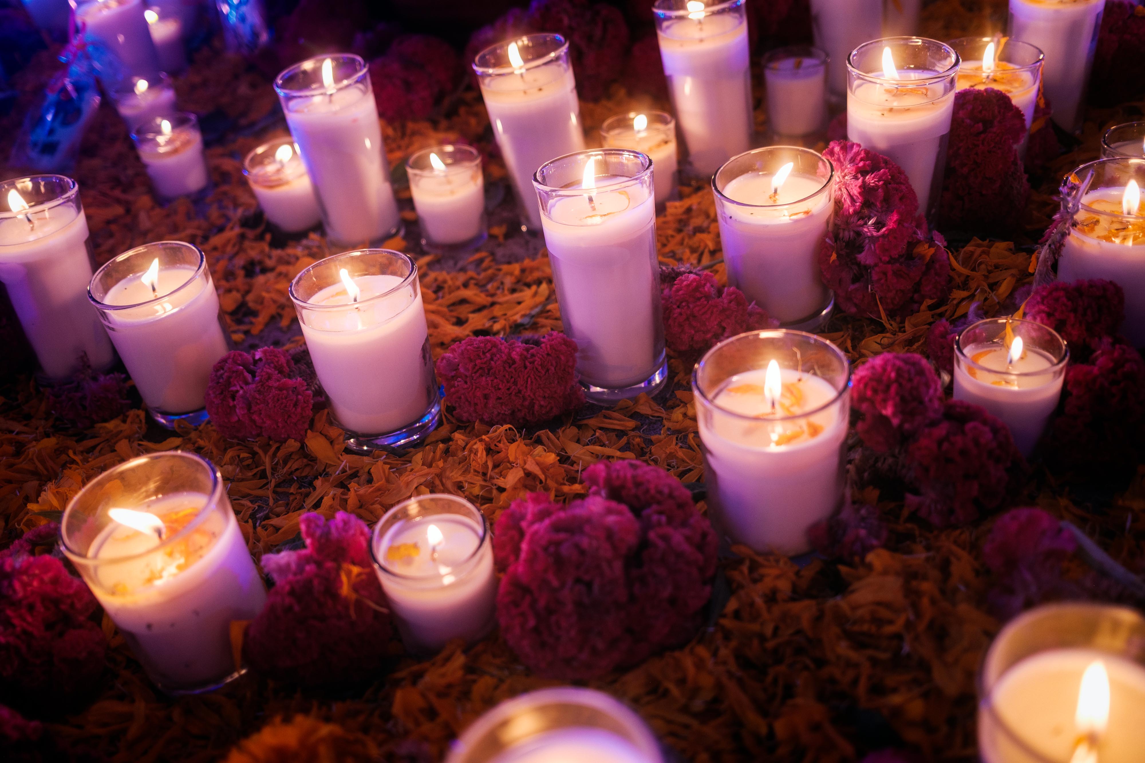 Day of the Dead Jeff Colhoun