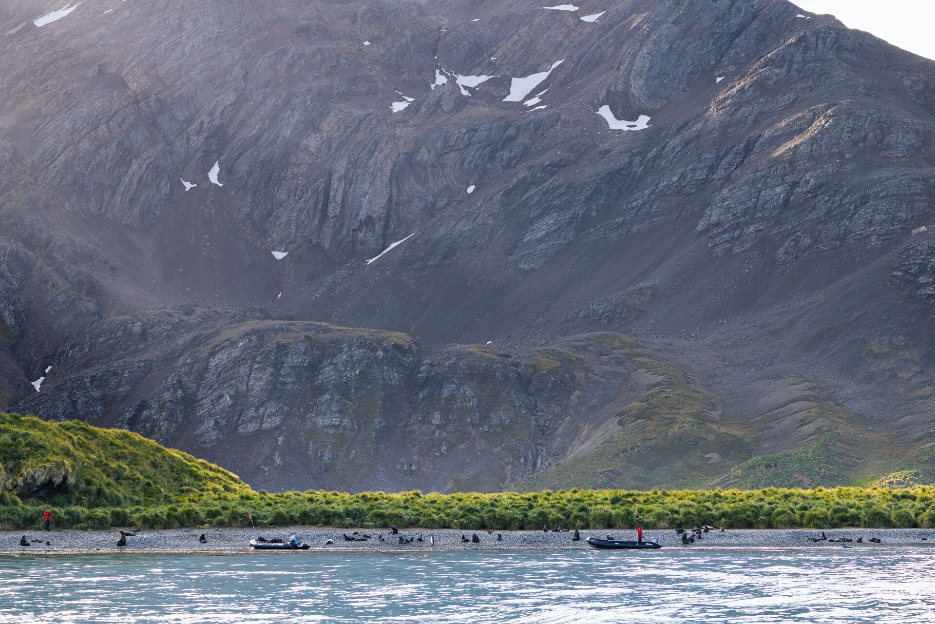 South Georgia Island Jeff Colhoun