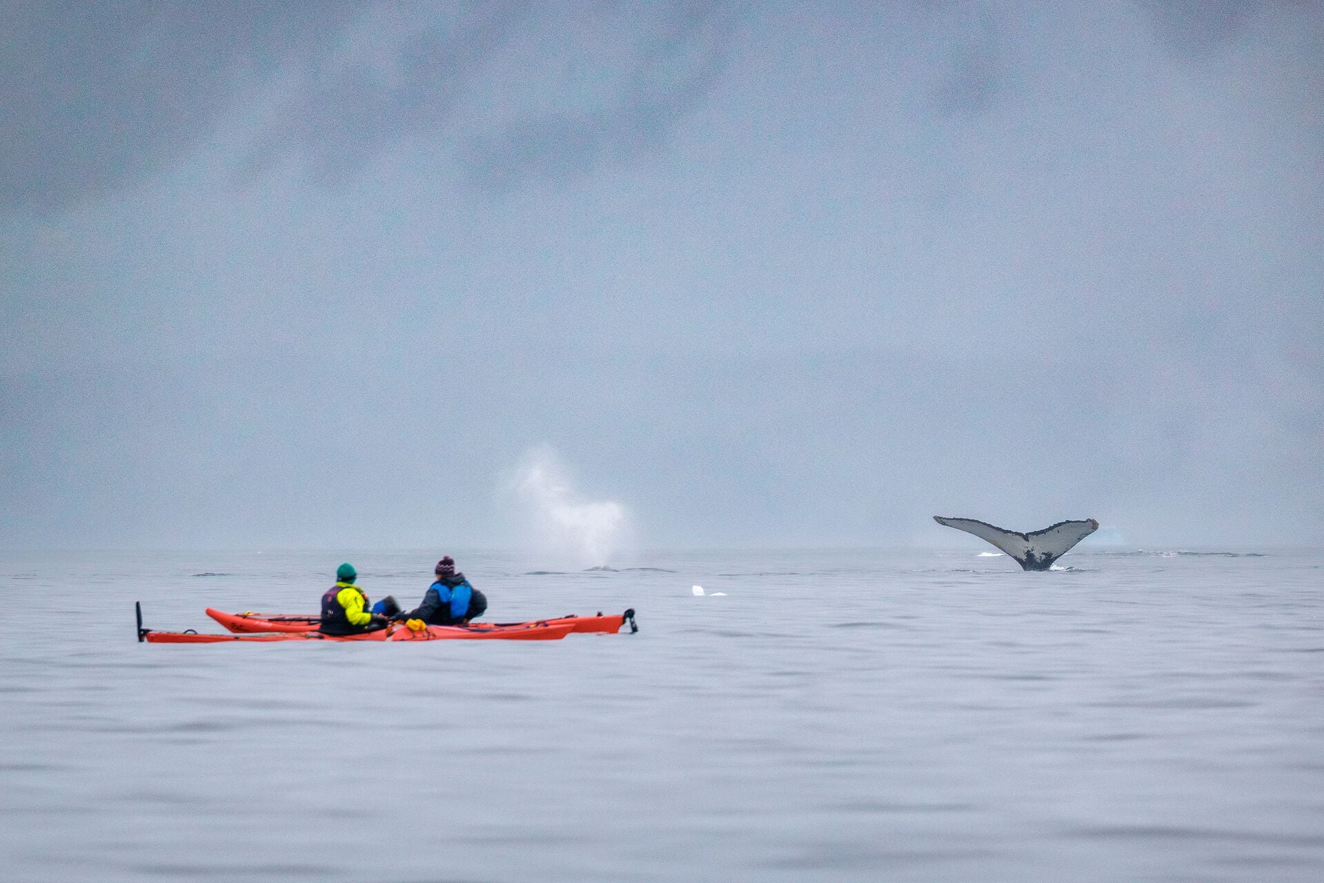 Antarctica Jeff Colhoun