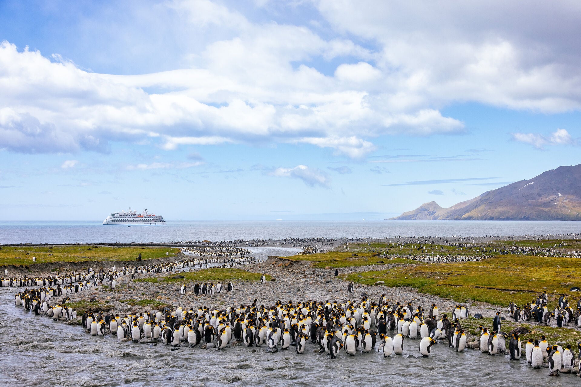 South Georgia Island Jeff Colhoun