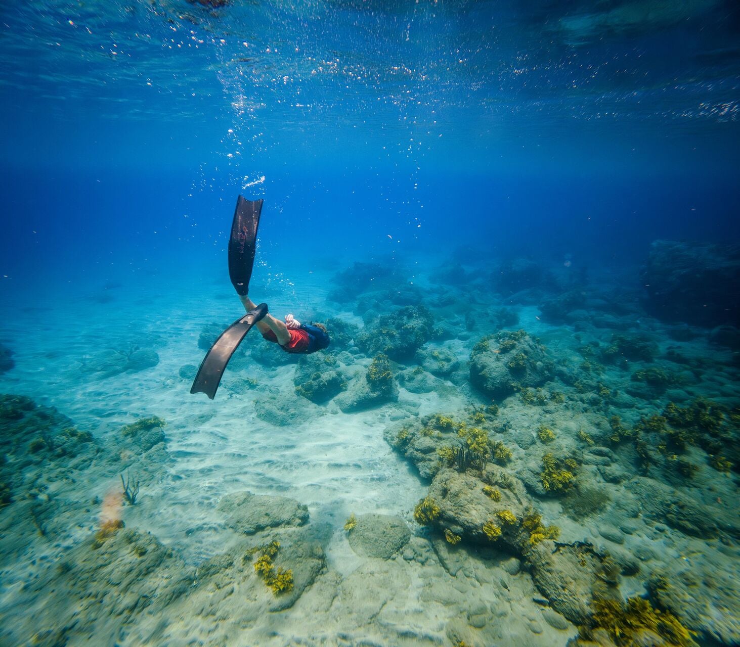 Snorkeling Montserrat