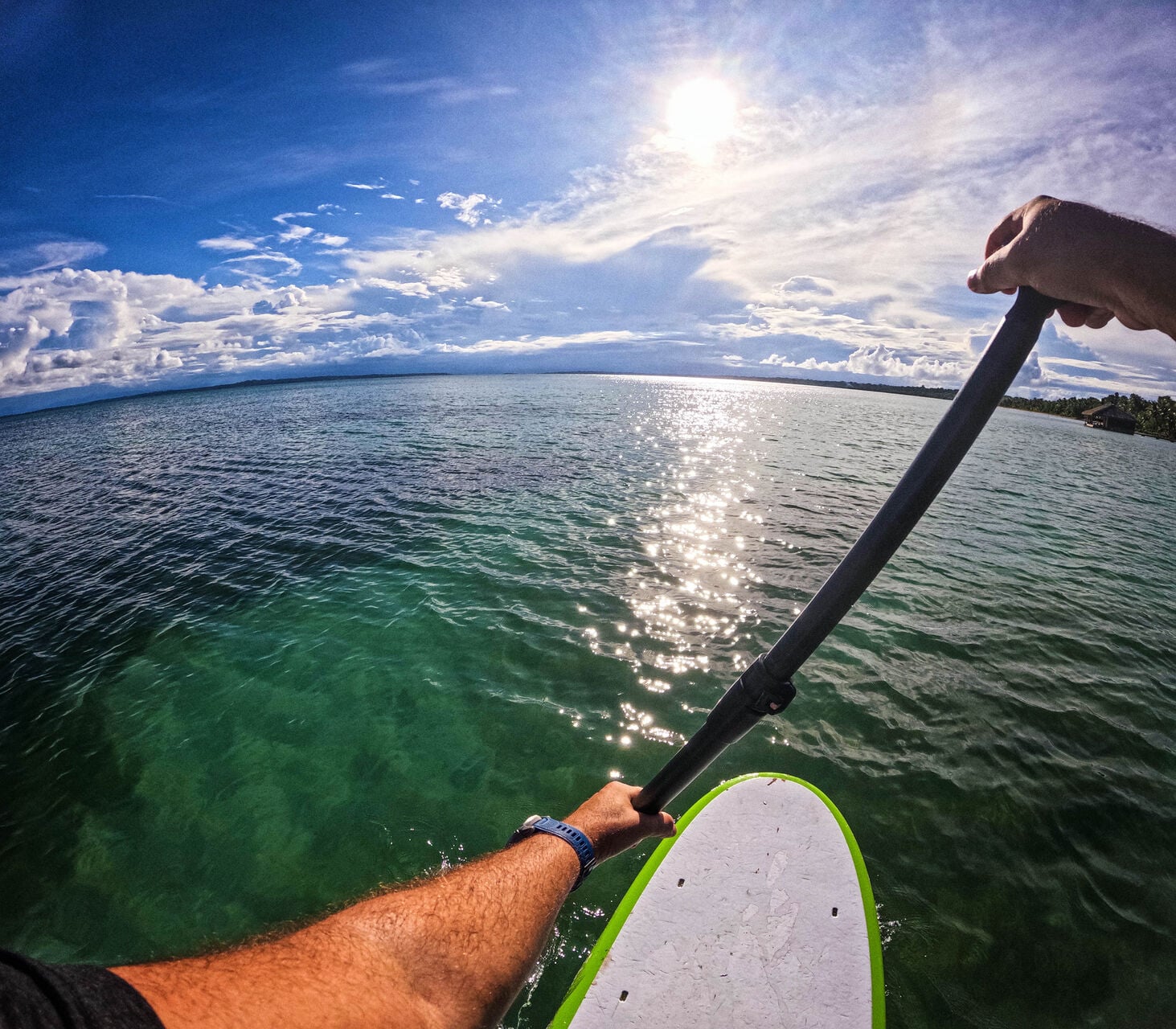 Paddle Boarding Bocas del Toro