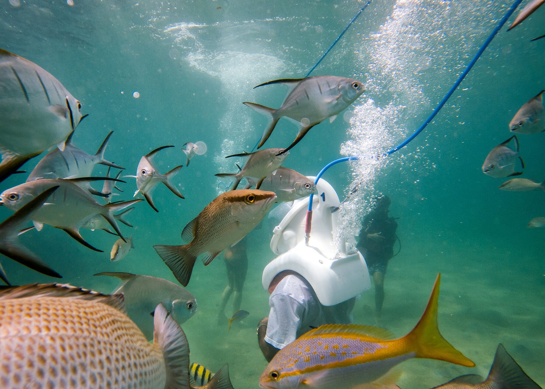 Sea Trek Helmet Diving