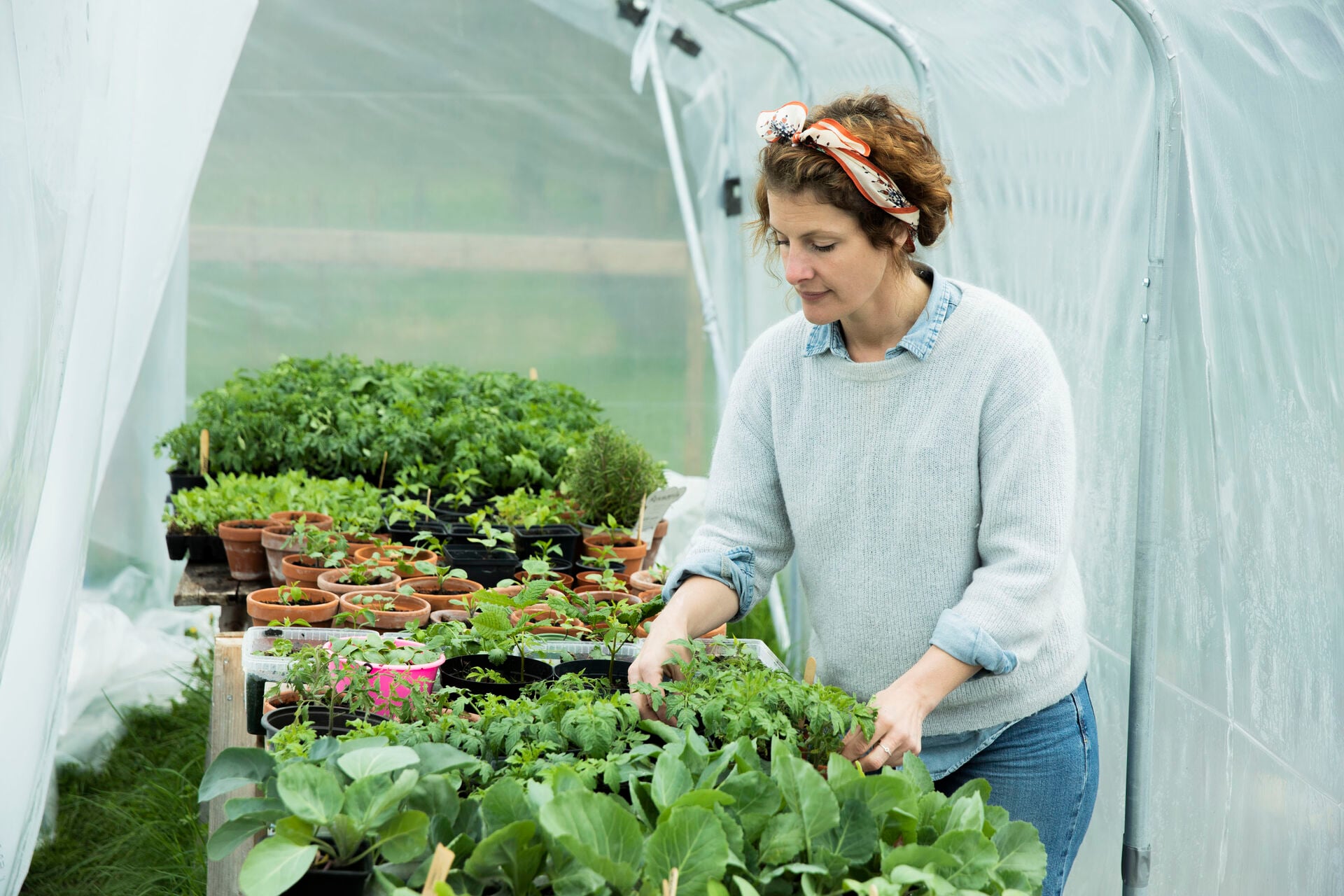 Image Credit - Stelor