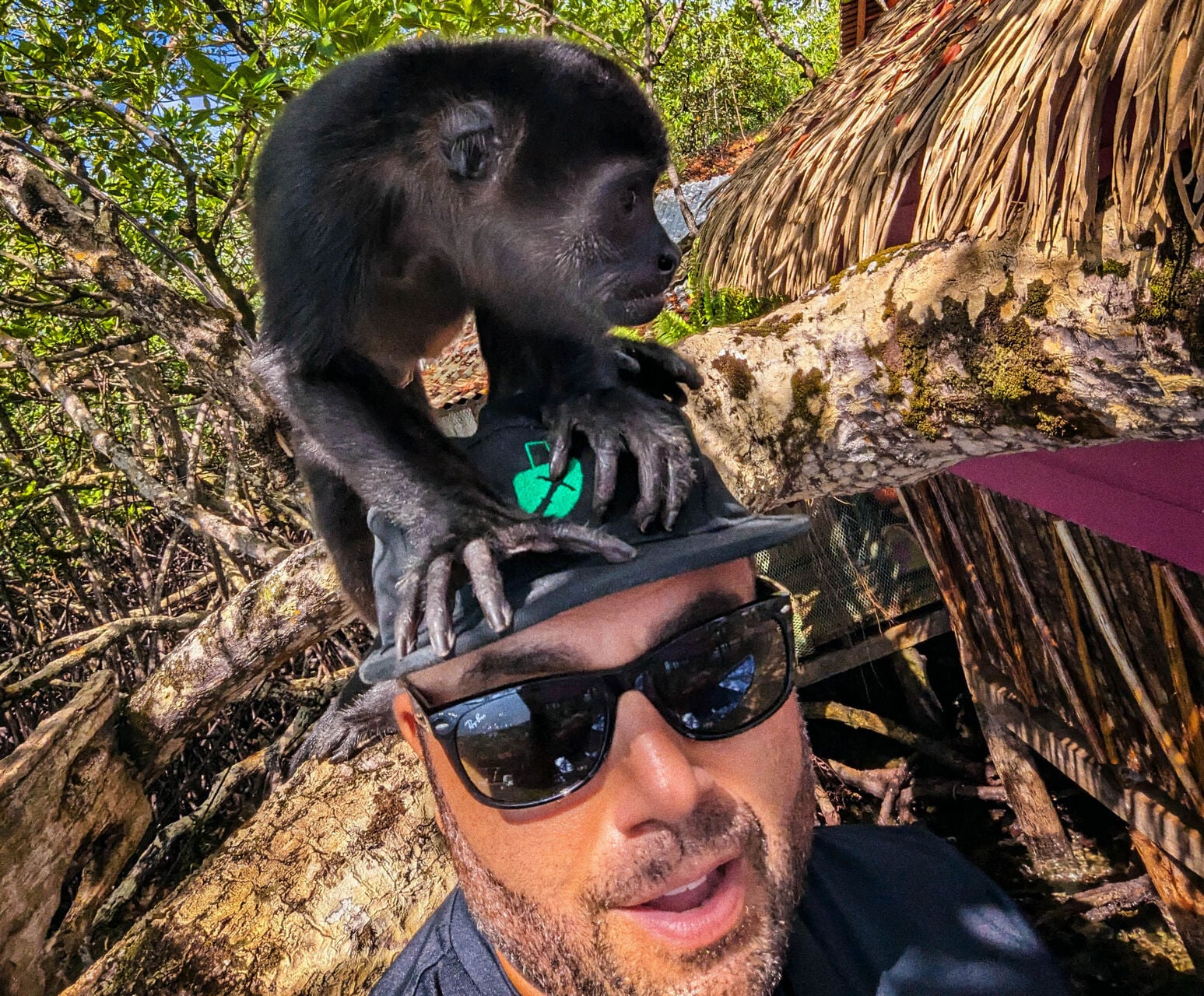 Monkey Island Bocas del Toro