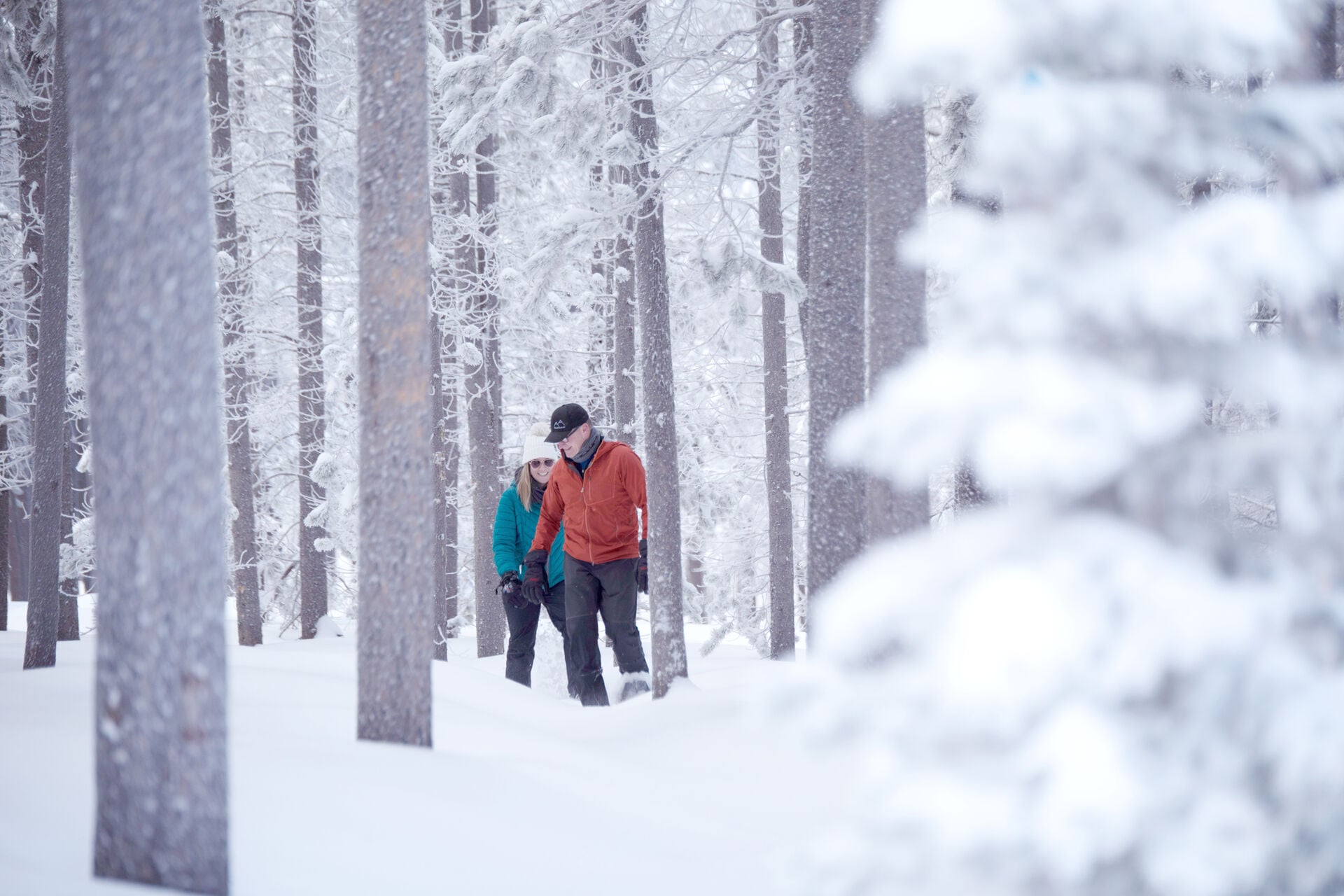 Image - Visit Casper Tourism