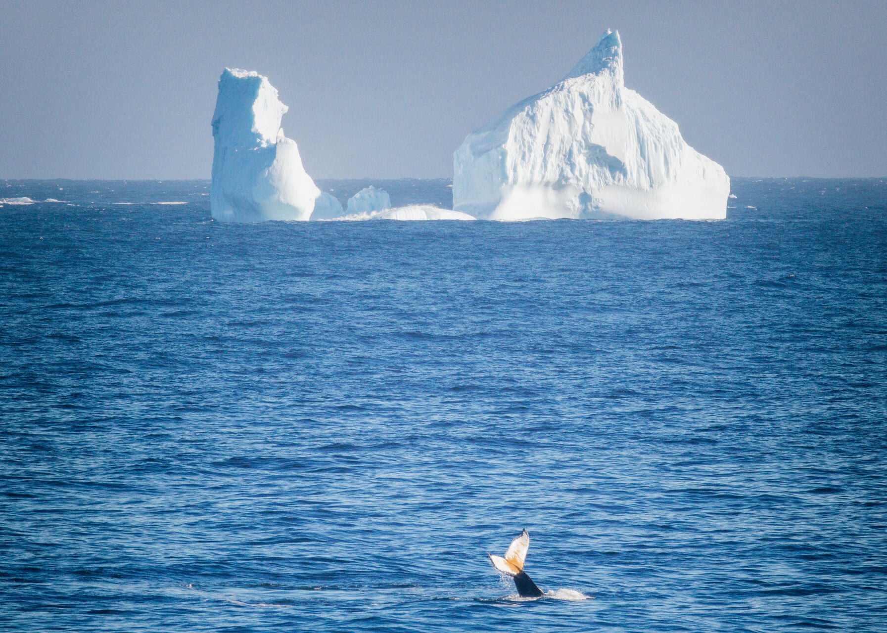Drakes Passage Antarctica