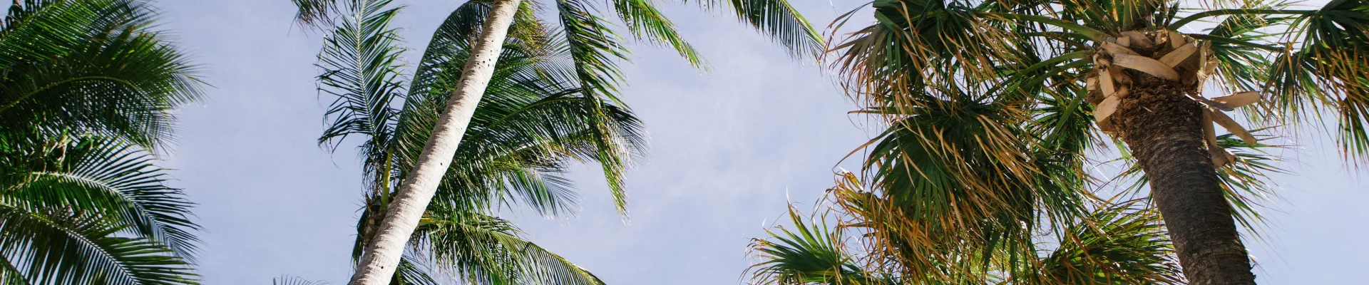 Fort Lauderdale, Florida