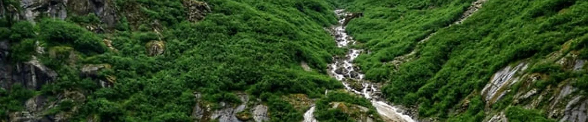 Glacier Bay National Park, Alaska