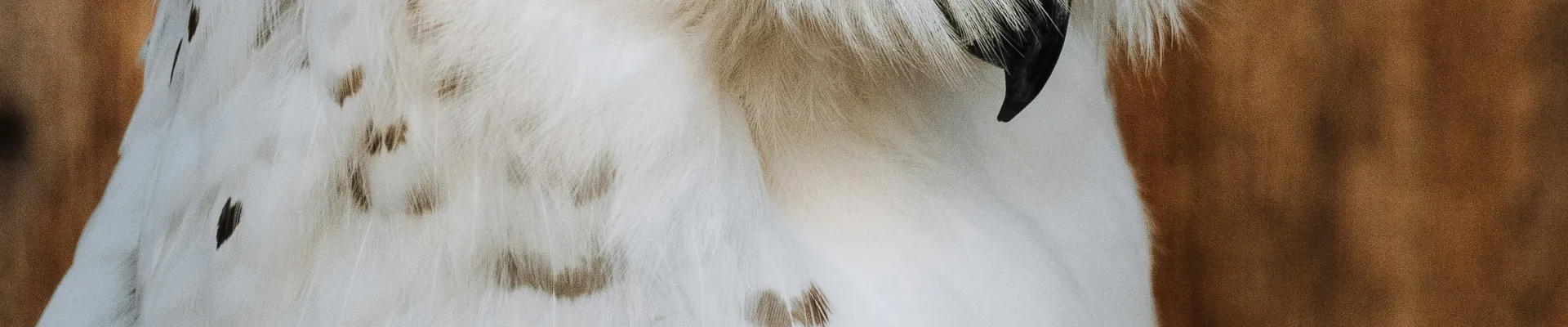 Nanaimo, British Columbia