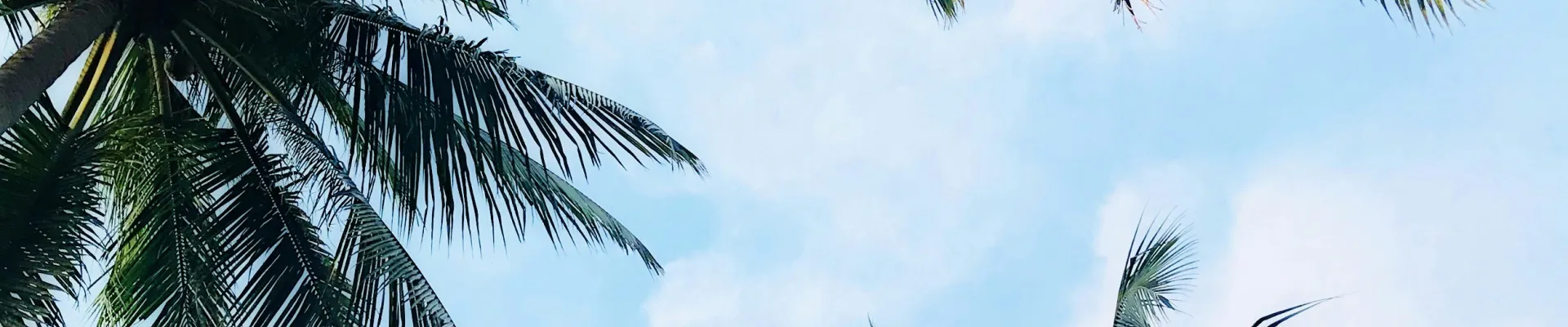 Santo Tomás de Castilla