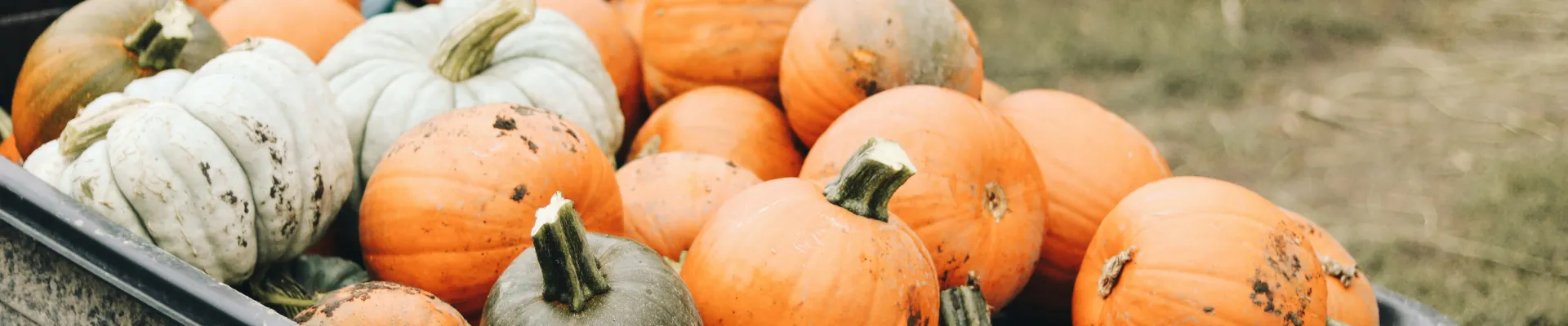 Kelowna, British Columbia