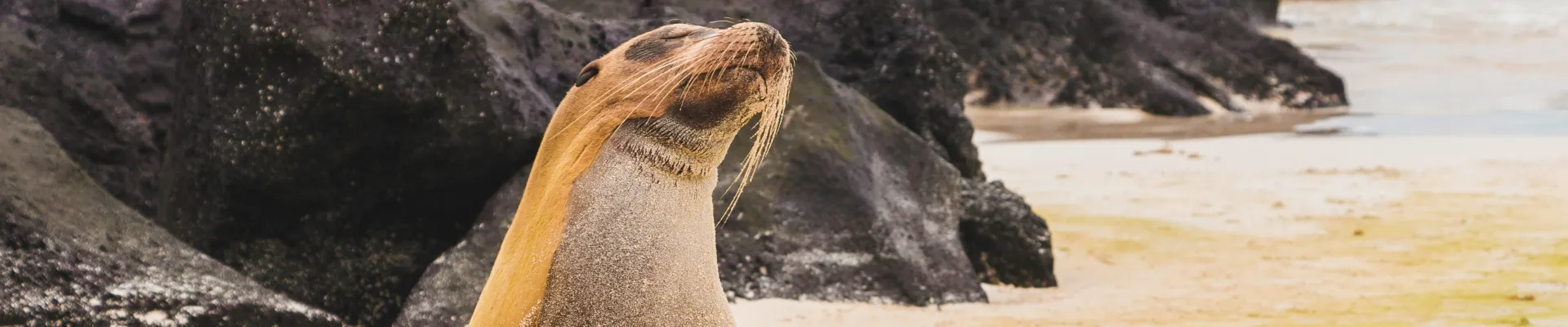 Punta Suarez, Isla Española, Galápagos