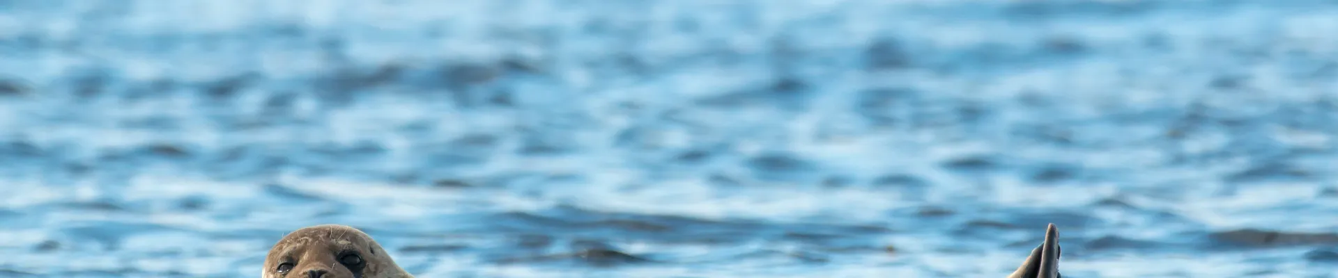 Misty Fjords National Monument, Alaska