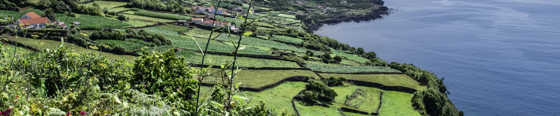 Azores