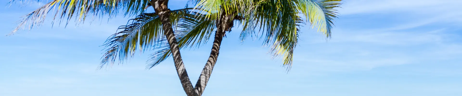 Great Harbour, Jost Van Dyke