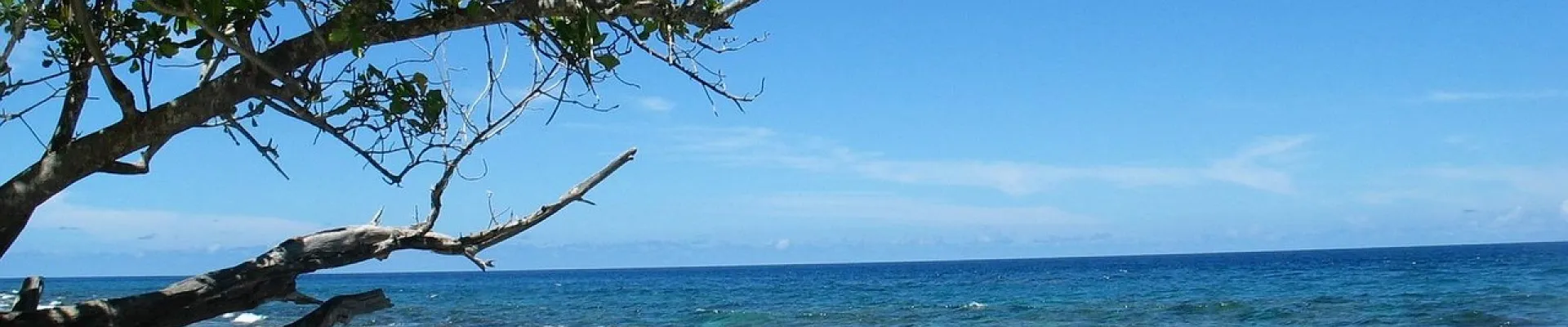 Conflict Island Group