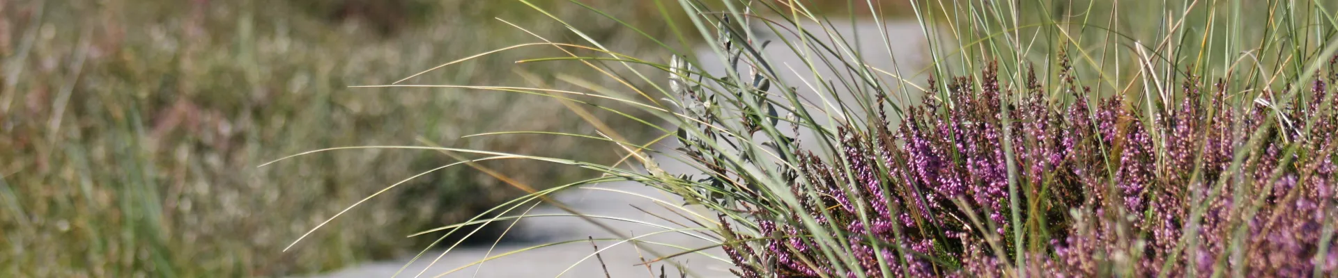 Amelia Island, Florida