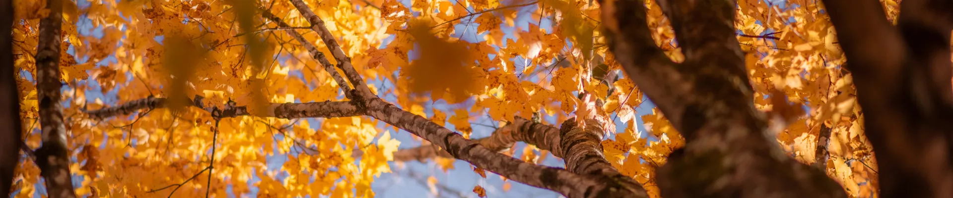 Chattanooga, Tennessee