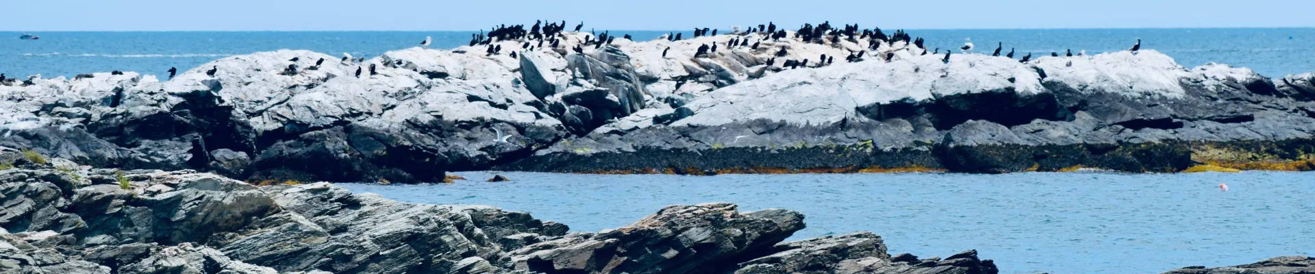 Newport, Rhode Island