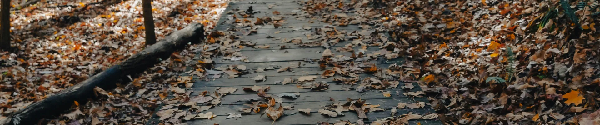 Clarksville, Tennessee