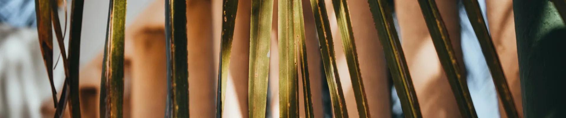 Huatulco (Santa María Huatulco)