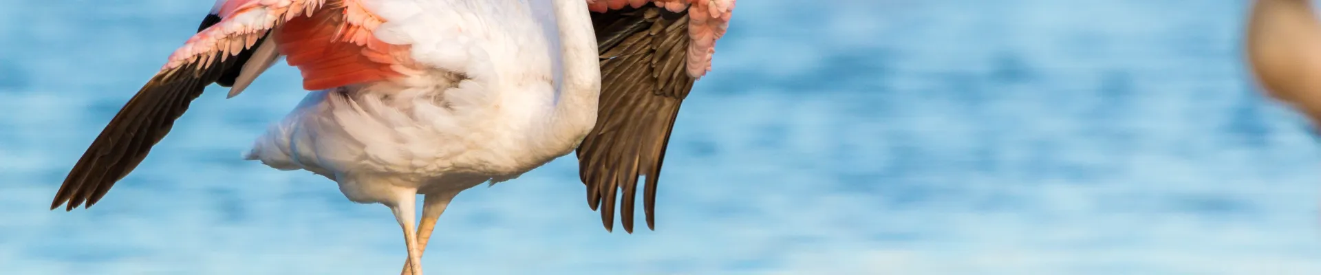 Post Office Bay, Floreana, Galápagos