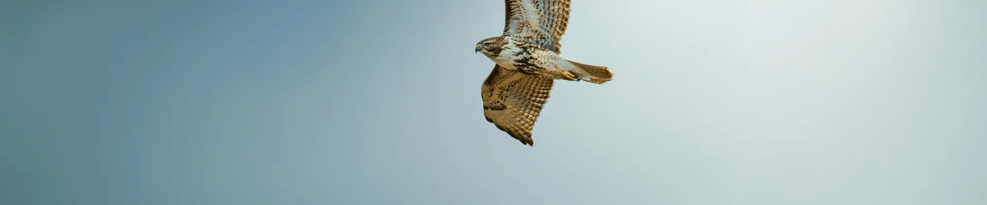 Thunder Bay, Ontario