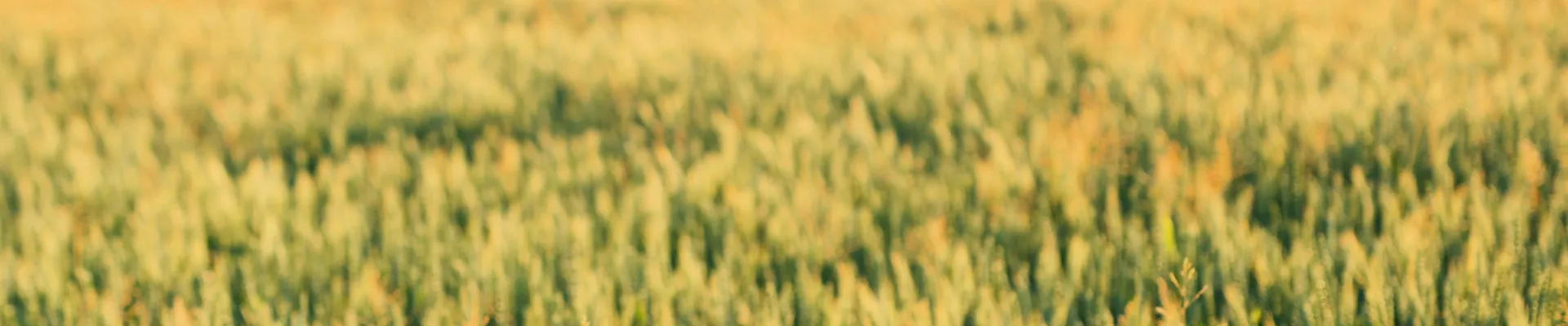 Lancaster, Pennsylvania