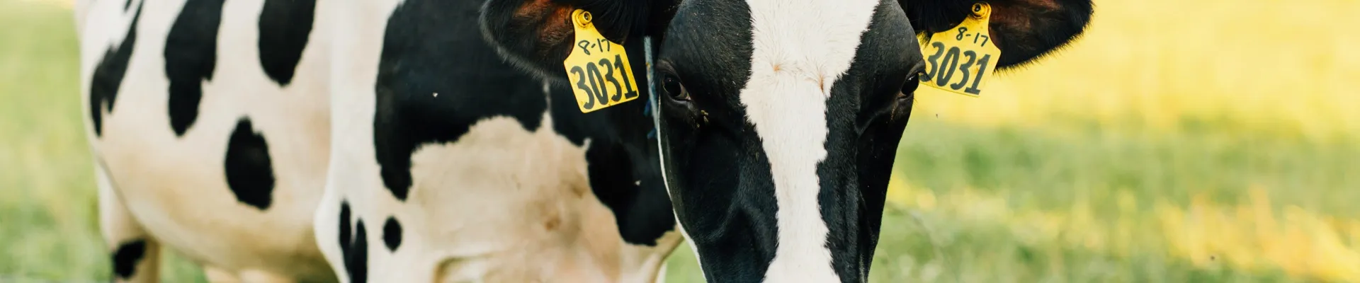 Lancaster, Pennsylvania