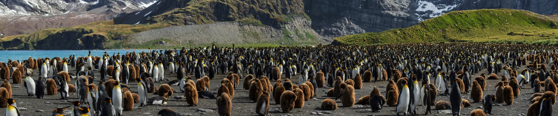 South Georgia Island
