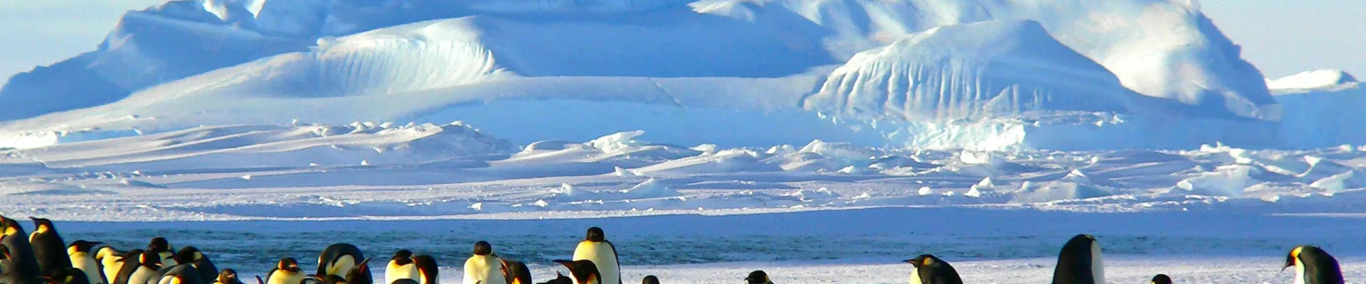 Antarctic Experience