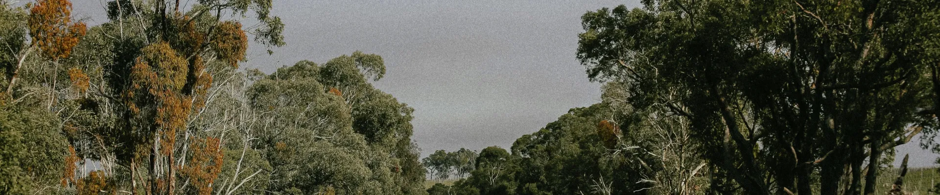 Wallaroo, South Australia