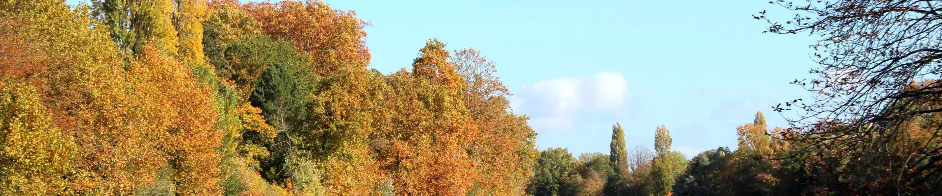 Conflans-Sainte-Honorine