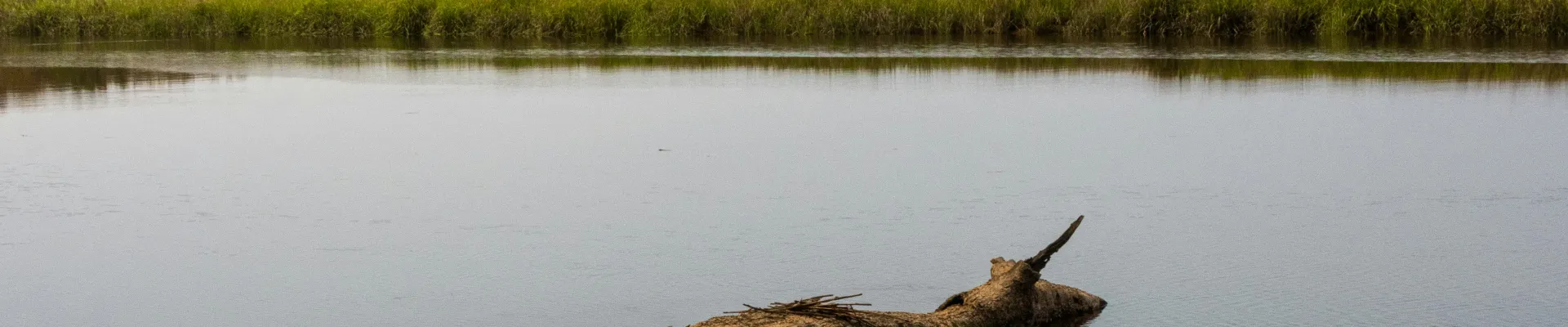 Saint Simons Island, Georgia