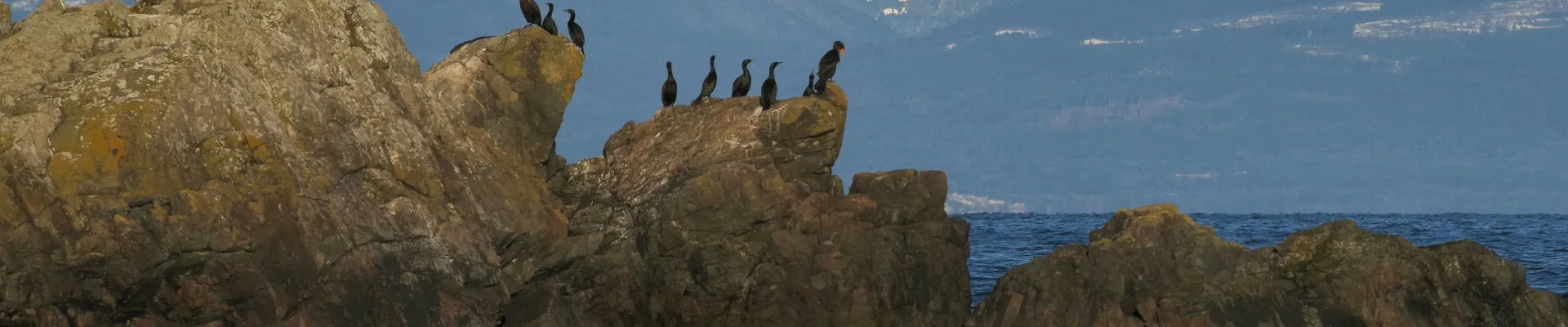 Nanaimo, British Columbia