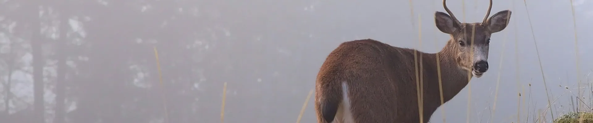 Nanaimo, British Columbia