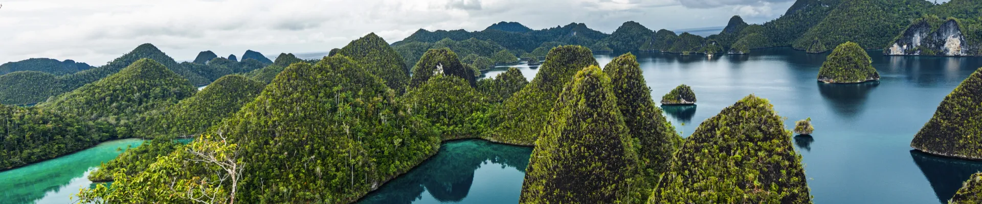 Misool, Raja Ampat