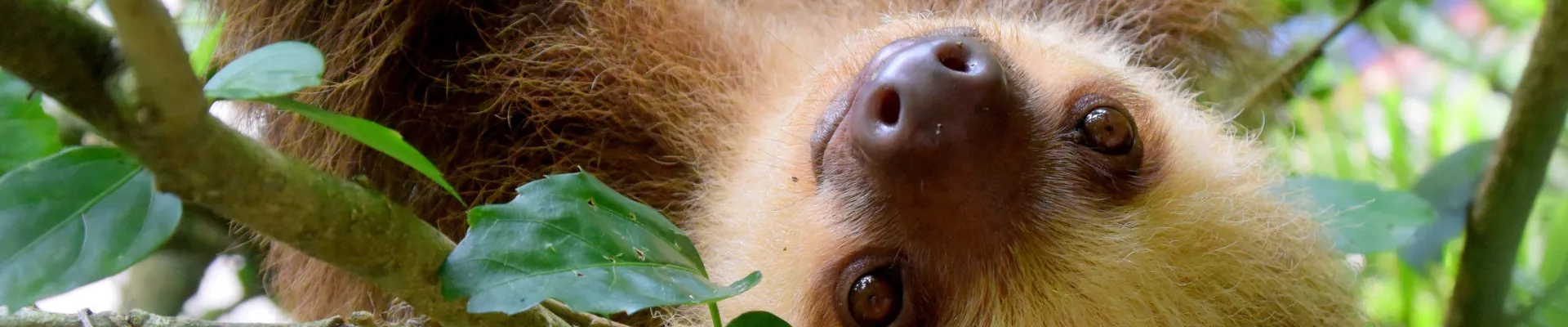 Quepos (Puerto Quepos)