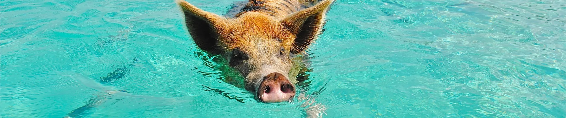 Freeport, Grand Bahama