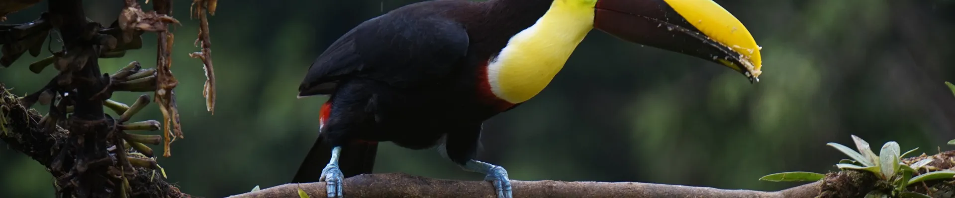 Curú Wildlife Refuge