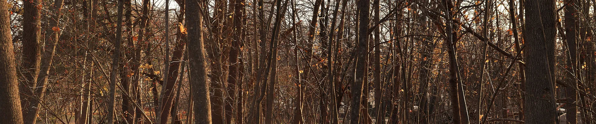 New Bedford, Massachusetts