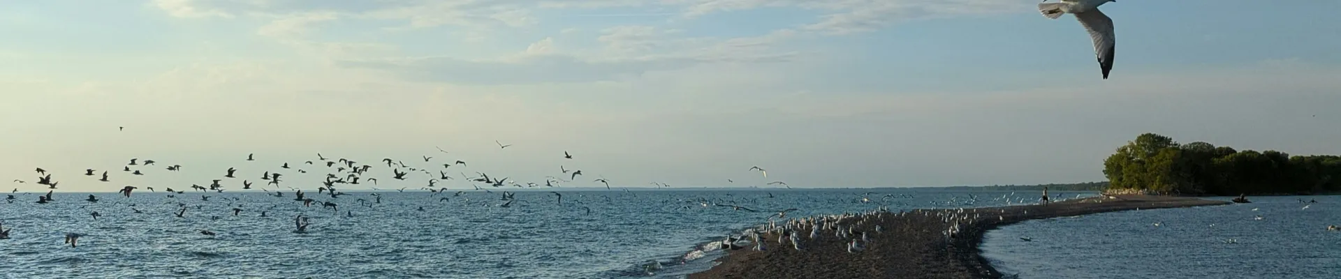 Point Pelee National Park, Ontario