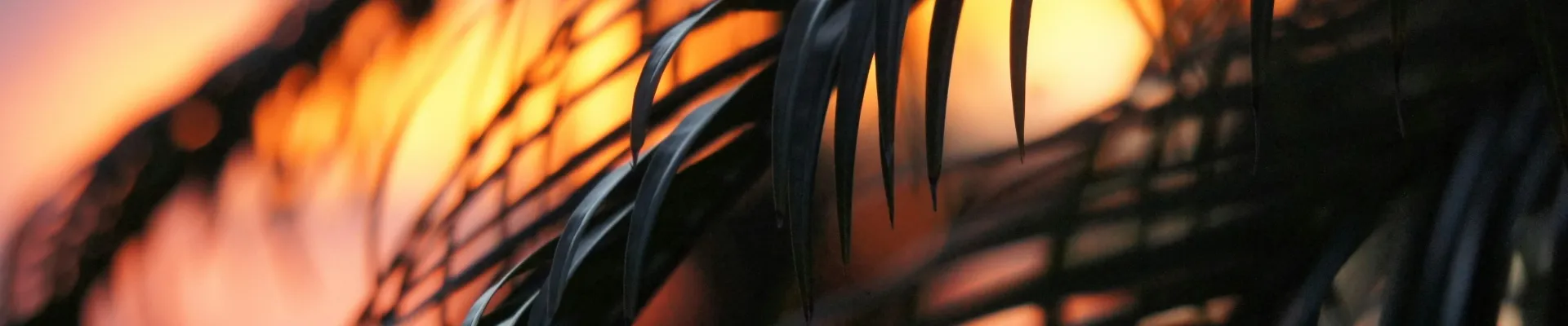 Marco Island, Florida