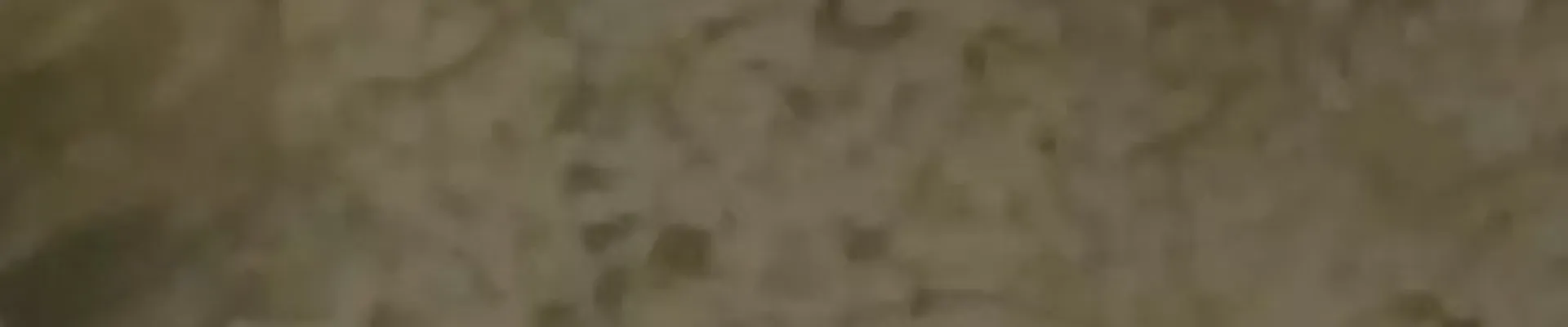 Satellite view of Ella Island