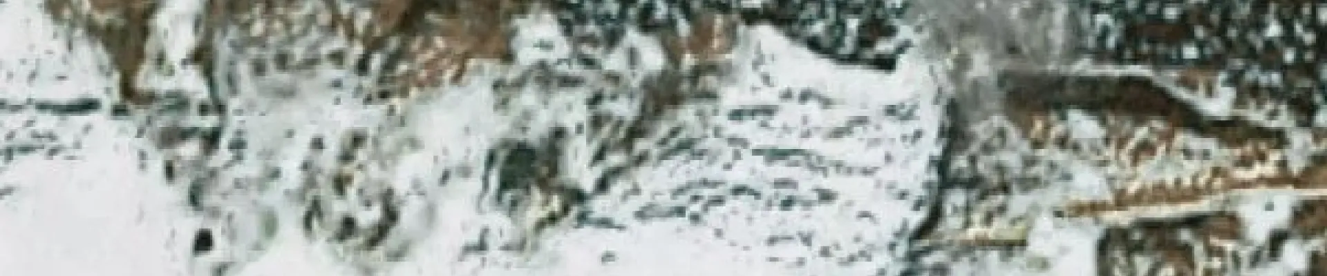 Satellite view of Lindenow Fjord