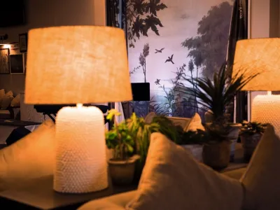 Ambience - Entertainment