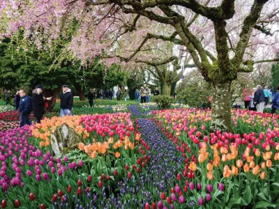 American Spirit - Enrichment