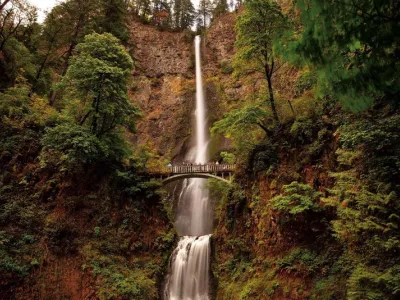 American Jazz - Enrichment